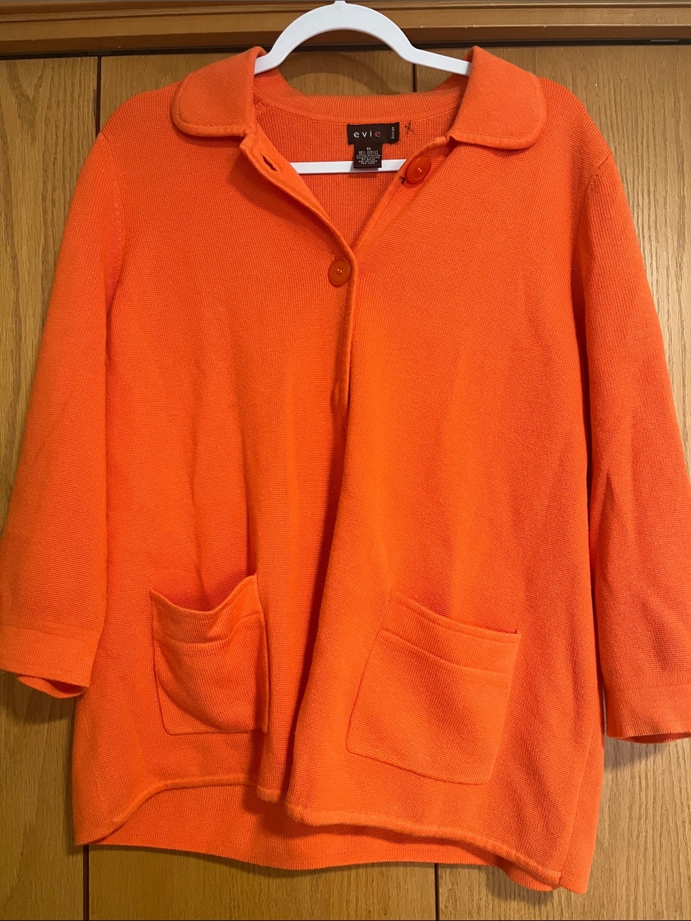 Vintage Evie button up sweater 1X